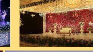 Reception Floral Wall Stage - Udaipur Birthday Planner